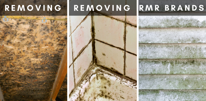 How to remove Mold in your house using RMR Brands Products
