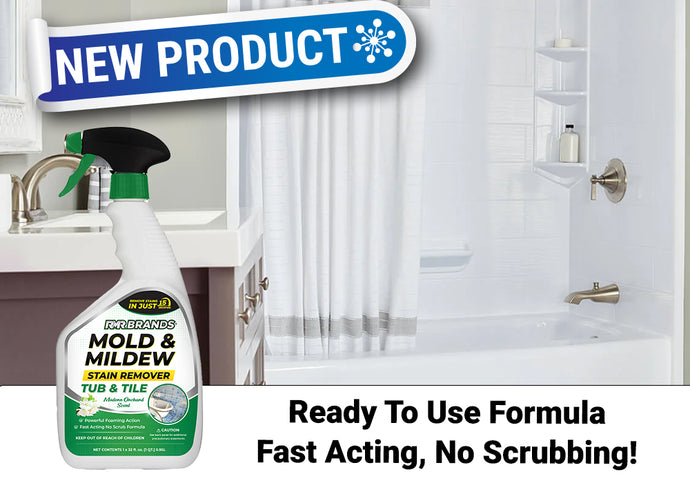 Do you have Mold or Mildew in Your Home?