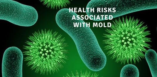 Health Risks Associated With Mold & How To Eliminate them | RMR Brands