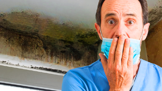 Can Mold Make You Sick? 10 Mold Solutions