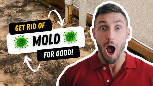 How to Get Rid of Mold in Your Home (With 2 POWERFUL Products)
