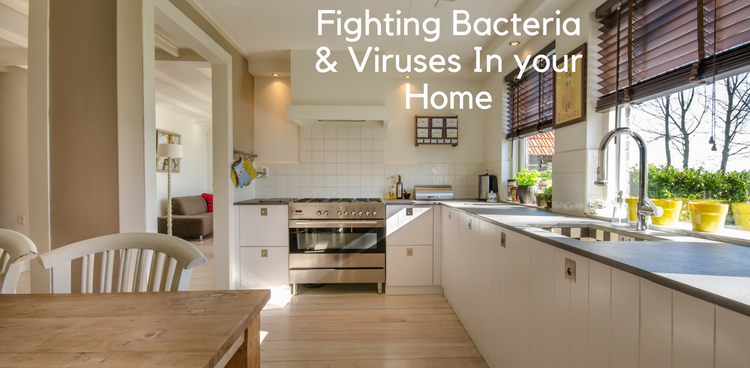 Battling The Most Common Viruses Found In Homes