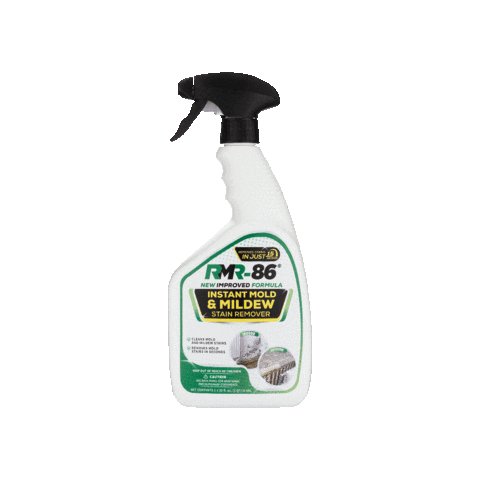 September is Mold Awareness Month