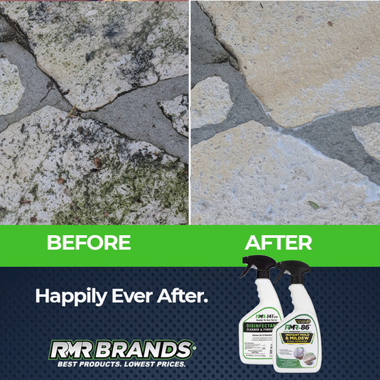 Complete Mold Killer & Remover DIY Bundle